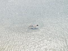 化粧してるのに（泣）すっぴんにみられる人の”程よく”メイク感を出す方法