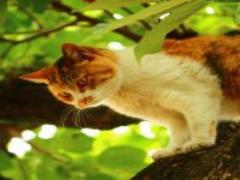 今年の夏は筑波山＆つくば旅行へ！子供も大人も楽しめる1泊2日おでかけプラン