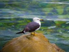 夏休みの旅行どこいく？それなら"幸福度No.1の長野"で1泊2日のシアワセツアー♡