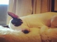 面長さん注目！縦長ラインを攻略して小顔ボブにイメチェン