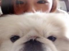 どの季節も美しい景色が楽しめる！福井観光で行きたいおすすめスポット