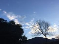 高千穂の強力パワースポットをめぐる観光プラン♡疲れた心を癒やす旅