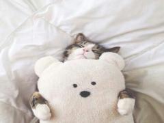 ＜消費カロリー1.3倍up＞その1歩が美脚に繋がる♡歩く時の3ポイント