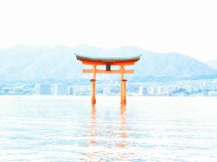 【全国】海に面した”鳥居”があるスピリチュアルな神社を巡る開運ツアーを開催します！