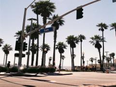 テーマは『リゾっぽガール!』ボタニカル柄ネイルで一足お先に夏休み気分♡