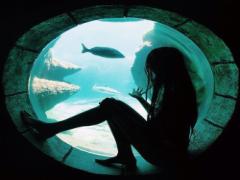 台所にある〇〇を使って【かさぶた】を綺麗に治して美脚をゲット！