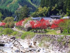 【長野県阿智村】日本一美しい星空の地で宇宙の壮大さを肌で感じてみませんか？