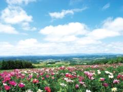 夏だから雄大に！北海道でグルメから温泉まで大満喫の旅♡