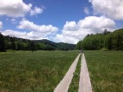 福島県の魅力って？たまには足を伸ばして、東北観光へ行ってみよう！