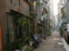 東京の喧騒の中に、隠れフォトジェニック。#路地裏を撮りに出かけない？