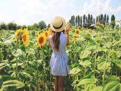 見たら誰もがハッピーに♡咲き誇る様子に思わず笑顔あふれる関東のひまわり畑4選