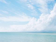 海の宝石を指先にトッピングして♡上品な輝きを叶えてくれる、パールネイル