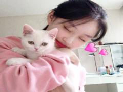 理想の小顔は0円で作る♡お家でできる、簡単フェイスマッサージ