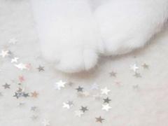 その愛くるしさに完敗♡［子猫系vs子犬系］2大小動物ヘアで庇護欲をくすぐって