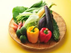 キレイになりたい女子の味方。食卓を彩る"夏野菜"を使った絶品レシピ8選