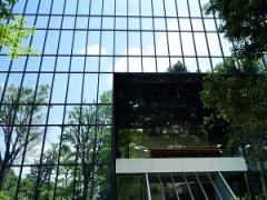 生い茂る緑と一体化した不思議な空間＃青山＃connel coffee #おしゃれカフェ Vol.20