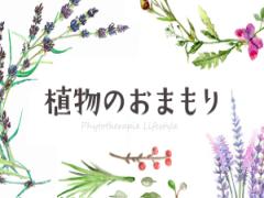ムーンパワーを味方につける！ 満月から始めるリラックス＆デトックス習慣【植物のおまも