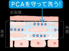 つるんと剥きたてタマゴ肌に。ファンケルからしっとり肌を作る「洗顔パウダー」が新登場