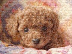 愛も感動も思いのまま。モザイクアートで幸せの瞬間を形に残そう♡
