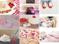フォトジェニックの鍵は◯◯にあった♡Instagramで見つけた“いちごスイーツ”