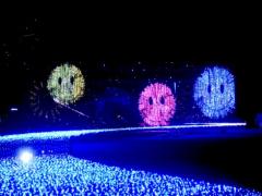 彼や友達と♡全国の夏だけ楽しめる"ロマンチックイルミネーション"5選