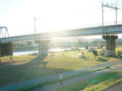 〈8月27日〉あなたの近所が映画館に？！葛西臨海公園で「ねぶくろシネマ」開催決定♡