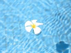 夏のデートは「東京サマーランド」で彼との恋を盛り上げる♪
