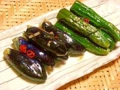 自家製お漬物レシピ！熱々ごはんやアレンジ料理にも使える万能食材
