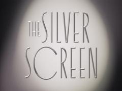その実力はいかほど？ついに発売、RMK秋コスメ『SILVER SCREEN』を大調査