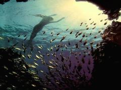 つま先まで可愛い私を見て。まだ間に合うフットネイルデザイン～夏～