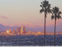 【LA】どうせなら未上陸グルメ。ロサンゼルス現地でも愛される定番チェーン店5選