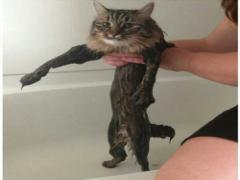 ペタンコ頭よ、さらば。髪のボリュームUP大作戦