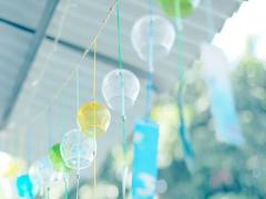 セミの鳴き声で起きました。”昨日よりちょっと美人”を作る早起きした日にしたい事