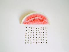 ちょこんと感がポイントよ。夏ネイルだからこそシンプル風にするのが一流なの。