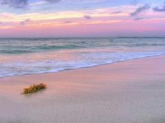 夏に纏って秋までおしゃれ。大人シンプルな掛け算ネイルデザイン15選