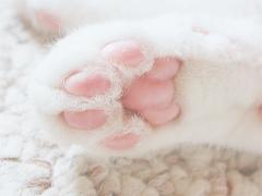 可愛すぎてごめんニャさい♡猫好きさんにはたまらない猫モチーフネイル