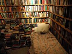 時間ができたら携帯とはちょっとお別れして。夏休みに読みたい本10選