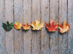 少しずつ指先から秋を感じたい。夏ネイルを楽しんだら一足先に秋ネイルをチェック