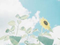 私の夏を落としこむの。小さな指先に広がる”夏の思い出ネイル”日記