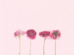 〜あなたの毎日をもっと豊かにするために〜心掛けたい4つのコト。