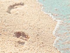 浮かれた夏からシックにシフト。秋深める最新ダークトーンヘア20選