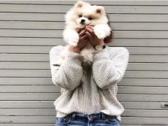 愛犬・愛猫が夢中になるペットのおもちゃ特集。遊んでいる姿がキュートで堪らない♡