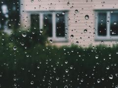 「えっ、今日雨なの？」突然の土砂降り。外に出ないと決めた日の過ごし方