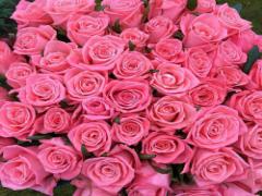 触れるたびに花びらを香らせて。恋や幸運を呼び込むフラワーコスメ6選♡