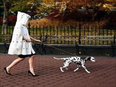 2016AWは大人可愛いが決め手♡"アニマル柄ネイル"で上品に攻めよう