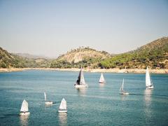 海の香りがほんのりするね。夏の思い出を一瞬で思い出せる‘魚ネイル’