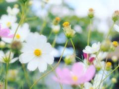 今年はどんな秋にする？3つの「〇〇の秋」を彩る、季節をまとうヘアスタイル提案