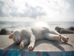 睡眠中にビクっとなる「ジャーキング」の原因は？