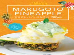 見た目サイズ旨さ120点◎ブラザーズカフェの"まるごとかき氷"4種が大反響