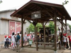 ＃ひまわり畑でキニナル。成田ゆめ牧場で見つけた一夏の過ごし方に迫る♡